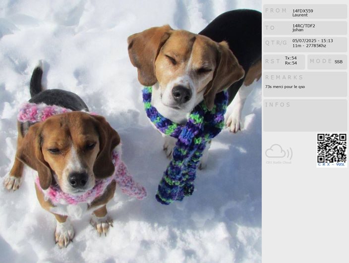 eQSL de 14FDX559 LAURENT - France 🇫🇷